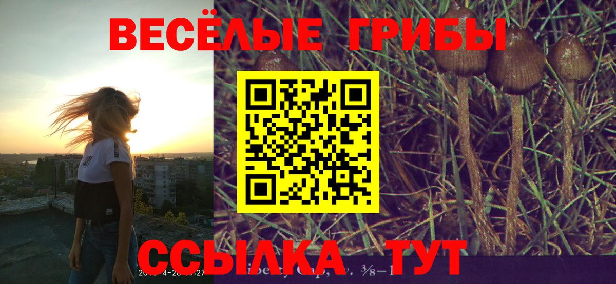 Псилоцибиновые грибы Psilocybine cubensis  Вход с VPN  Ревда 