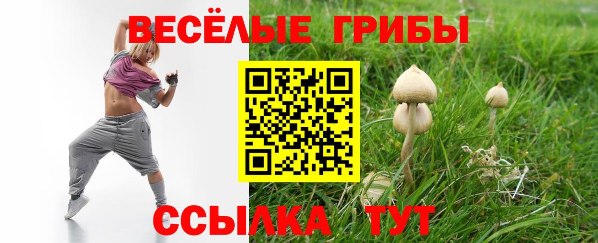 Галлюциногенные грибы мицелий Ревда
